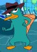 perry p